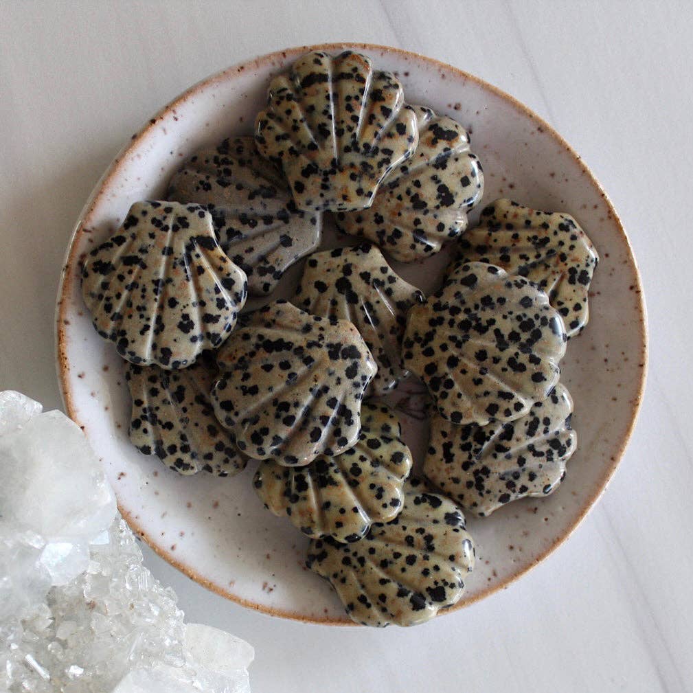 Dalmatian Jasper Scallop